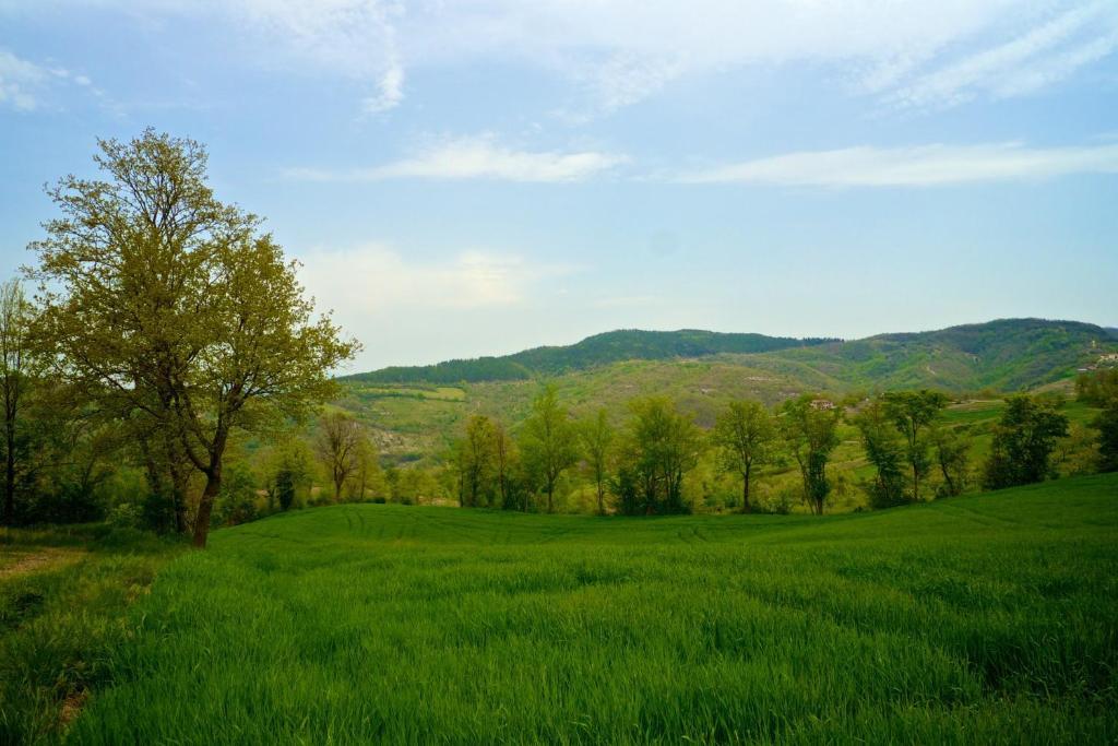 Agriturismo Montelovesco Brunetta Extérieur photo